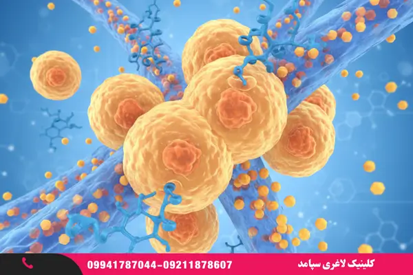 انسولین و تأثیر آن بر ذخیره چربی