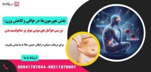نقش هورمون ها در چاقی